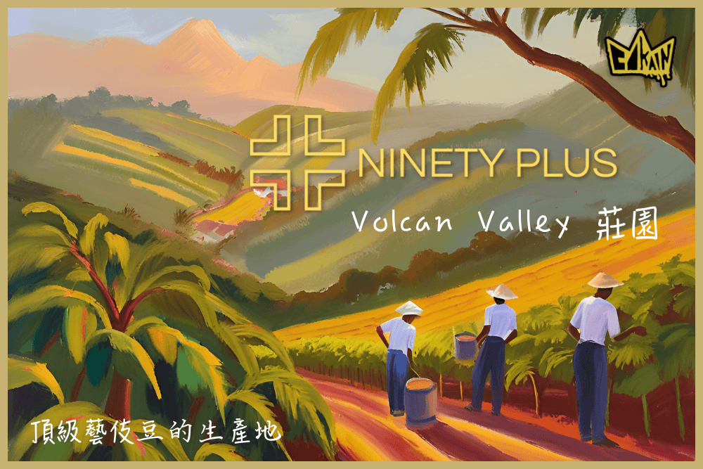 Cokain – Panama 90+ Volcan Valley Coffee Thermolic Geisha